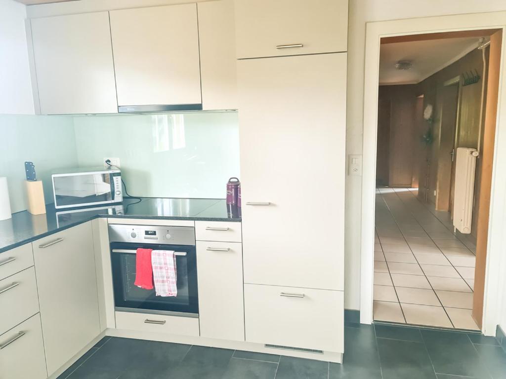 Abendberg Apartment - Aare Jungfrau Ag Вильдерсвиль Экстерьер фото